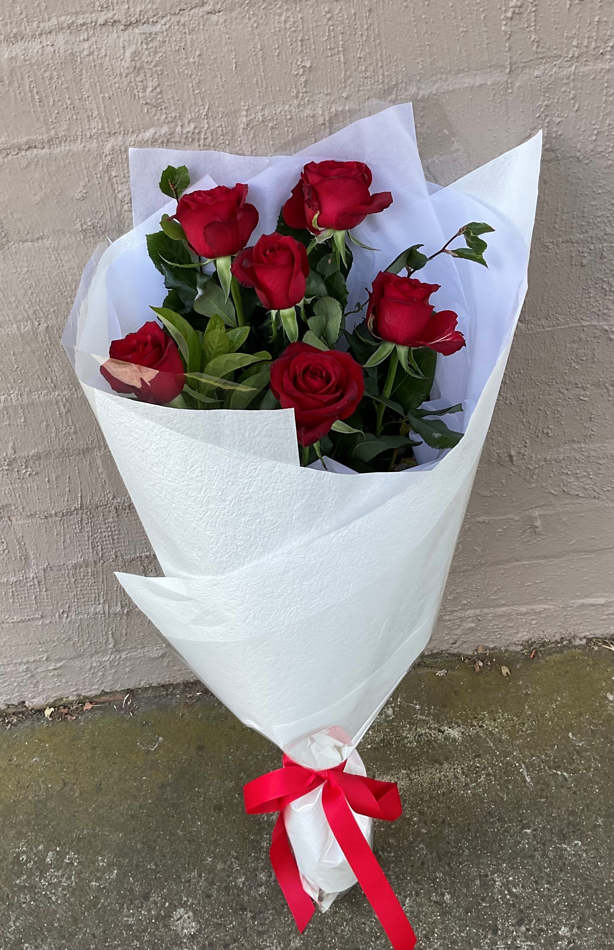 6 Long Stem Red Roses with Foliage Bouquet