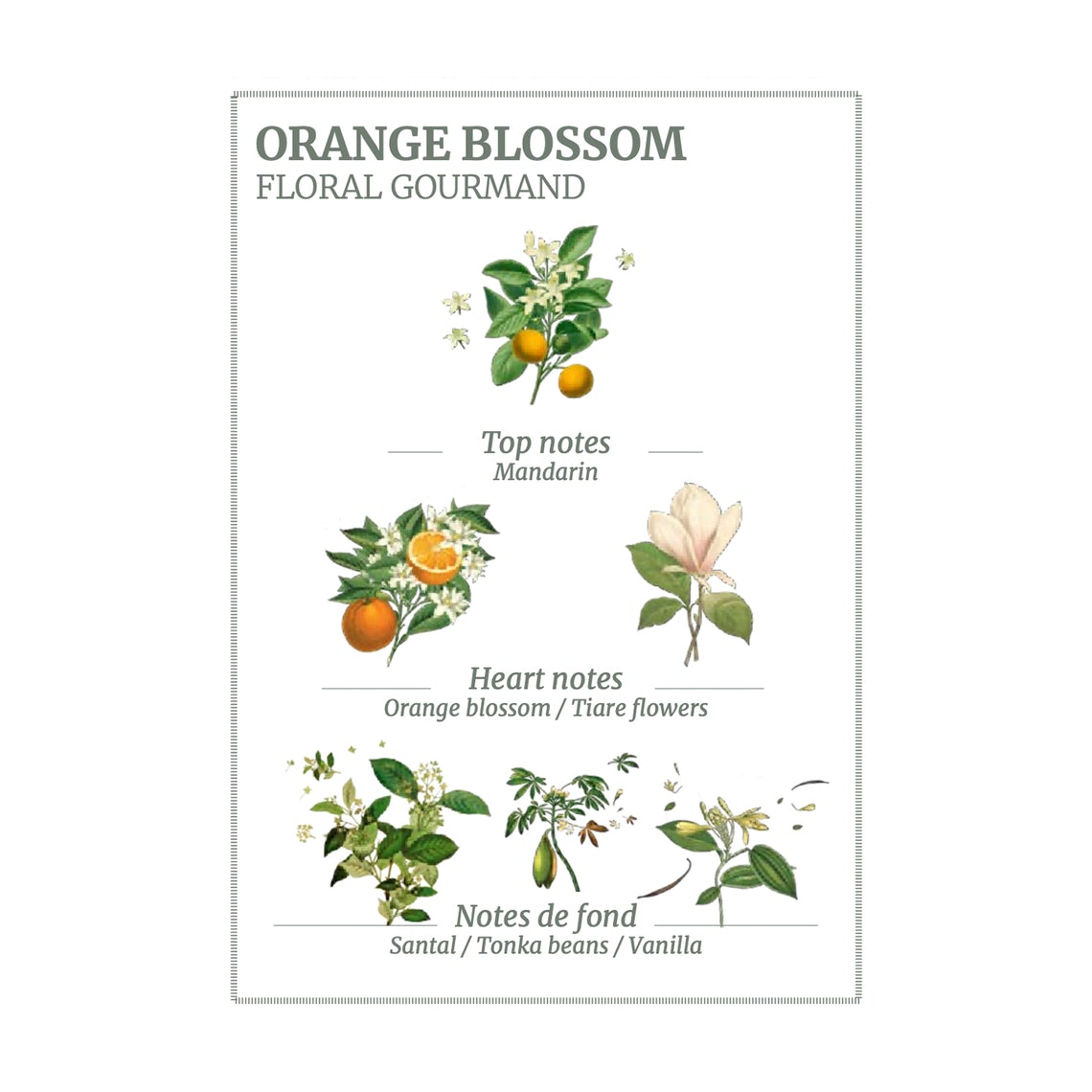Panier des Sens Orange Blossom Hand Cream - 30ml