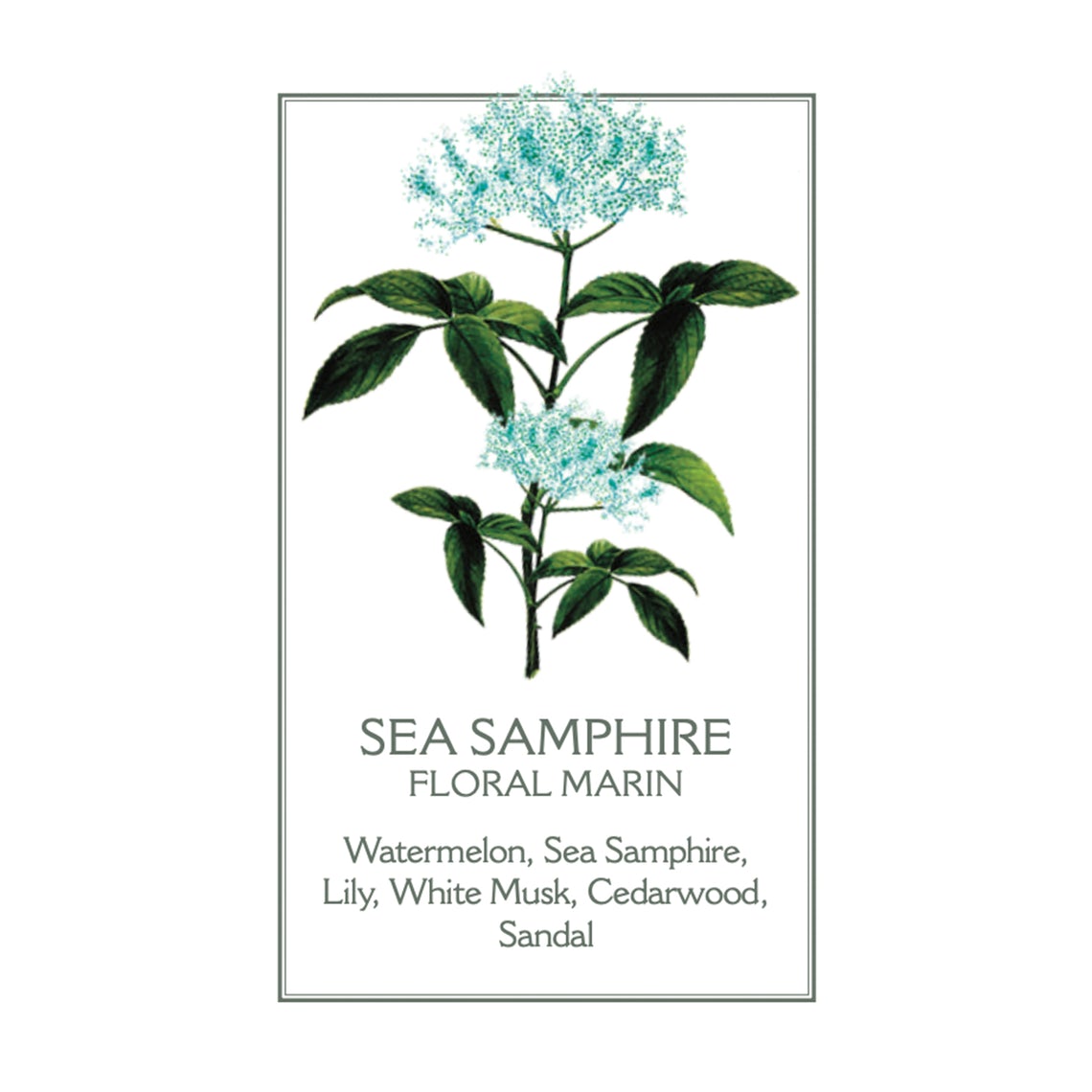 Panier des Sens Sea Fennel Hand Cream - 75ml